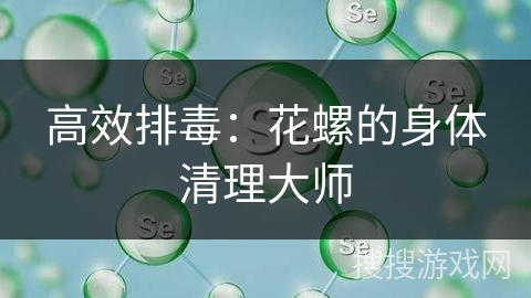 高效排毒：花螺的身体清理大师