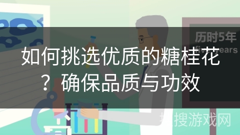 如何挑选优质的糖桂花？确保品质与功效