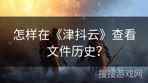怎样在《津抖云》查看文件历史？