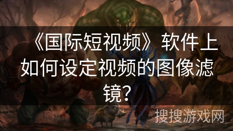 《国际短视频》软件上如何设定视频的图像滤镜？