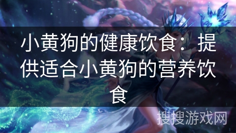 小黄狗的健康饮食:提供适合小黄狗的营养饮食 小黄狗的健康饮食:提供适合小黄狗的营养饮食