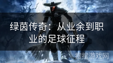 绿茵传奇：从业余到职业的足球征程