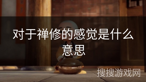 对于禅修的感觉是什么意思