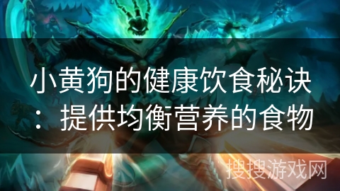 小黄狗的健康饮食秘诀：提供均衡营养的食物