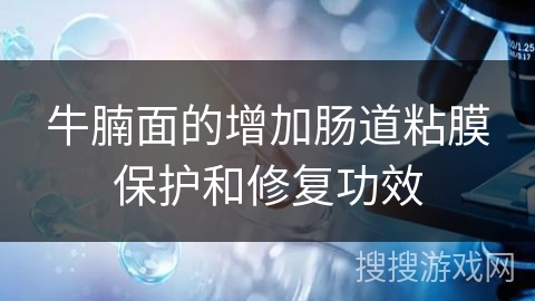 牛腩面的增加肠道粘膜保护和修复功效