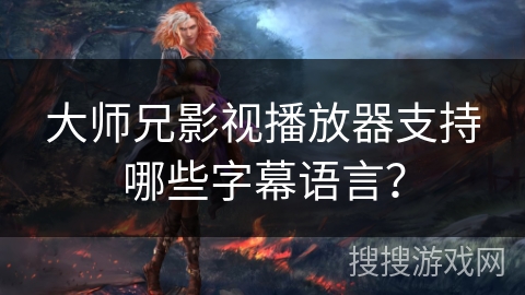 大师兄影视播放器支持哪些字幕语言？