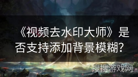 《视频去水印大师》是否支持添加背景模糊？