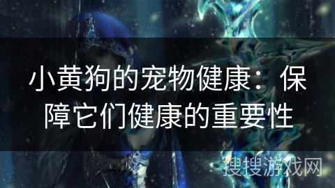 小黄狗的宠物健康：保障它们健康的重要性