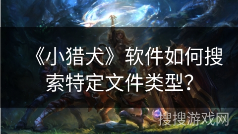 《小猎犬》软件如何搜索特定文件类型？