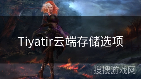 Tiyatir云端存储选项