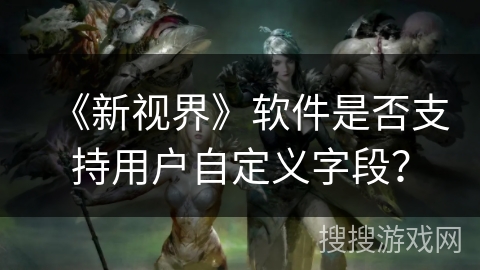 《新视界》软件是否支持用户自定义字段？