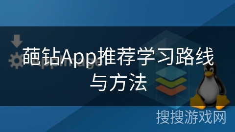 葩钻App推荐学习路线与方法