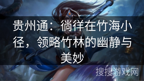 贵州通：徜徉在竹海小径，领略竹林的幽静与美妙