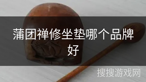 蒲团禅修坐垫哪个品牌好 蒲团禅修坐垫哪个品牌好