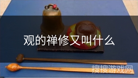 观的禅修又叫什么