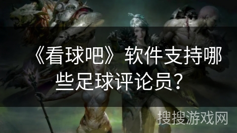 《看球吧》软件支持哪些足球评论员? 《看球吧》软件支持哪些足球评论员?