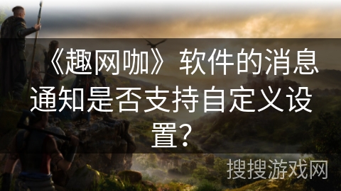 《趣网咖》软件的消息通知是否支持自定义设置？