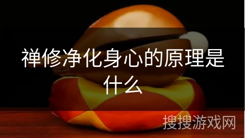 禅修净化身心的原理是什么