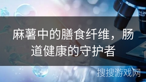 麻薯中的膳食纤维，肠道健康的守护者