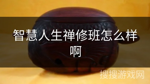 智慧人生禅修班怎么样啊