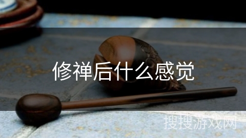 修禅后什么感觉 修禅后什么感觉