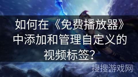 如何在《免费播放器》中添加和管理自定义的视频标签？