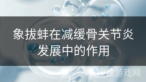 象拔蚌在减缓骨关节炎发展中的作用