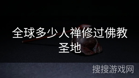 全球多少人禅修过佛教圣地 全球多少人禅修过佛教圣地