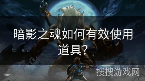 暗影之魂如何有效使用道具？