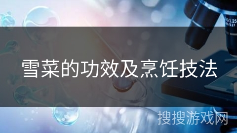 雪菜的功效及烹饪技法 雪菜的功效及烹饪技法