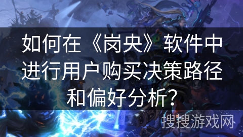 如何在《岗央》软件中进行用户购买决策路径和偏好分析？