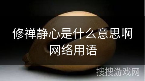 修禅静心是什么意思啊网络用语