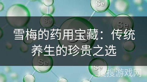 雪梅的药用宝藏:传统养生的珍贵之选 雪梅的药用宝藏:传统养生的珍贵之选