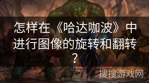 怎样在《哈达咖波》中进行图像的旋转和翻转？