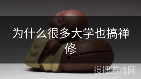 为什么很多大学也搞禅修