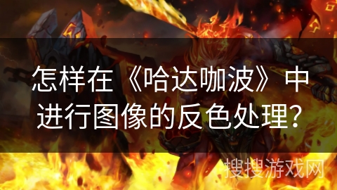 怎样在《哈达咖波》中进行图像的反色处理？