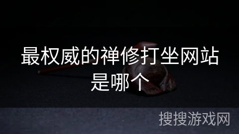 最权威的禅修打坐网站是哪个