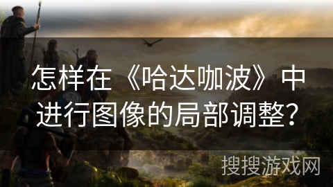 怎样在《哈达咖波》中进行图像的局部调整？