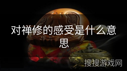 对禅修的感受是什么意思