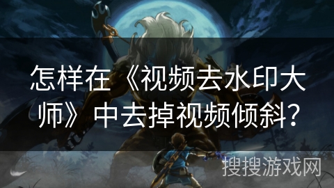 怎样在《视频去水印大师》中去掉视频倾斜？