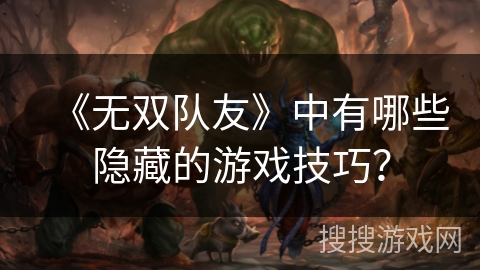 《无双队友》中有哪些隐藏的游戏技巧？