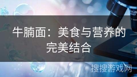 牛腩面:美食与营养的完美结合 牛腩面:美食与营养的完美结合