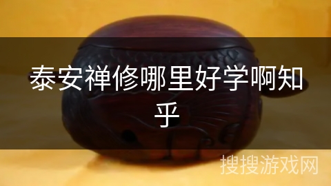 泰安禅修哪里好学啊知乎