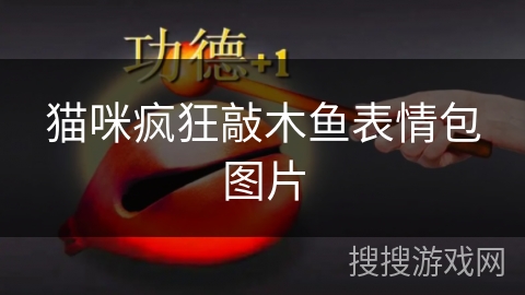 猫咪疯狂敲木鱼表情包图片 猫咪疯狂敲木鱼表情包图片