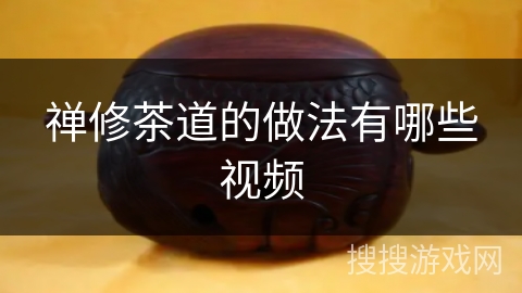 禅修茶道的做法有哪些视频