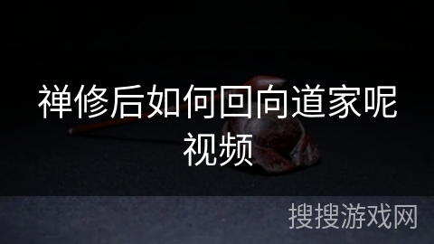 禅修后如何回向道家呢视频 禅修后如何回向道家呢视频