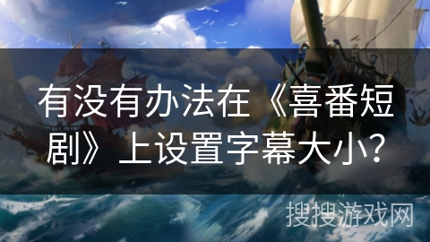 有没有办法在《喜番短剧》上设置字幕大小？