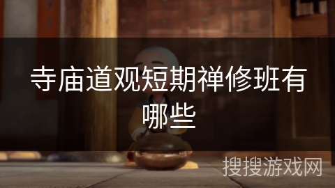 寺庙道观短期禅修班有哪些