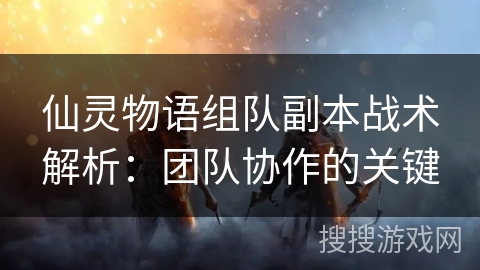 仙灵物语组队副本战术解析：团队协作的关键