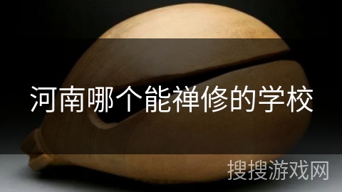 河南哪个能禅修的学校